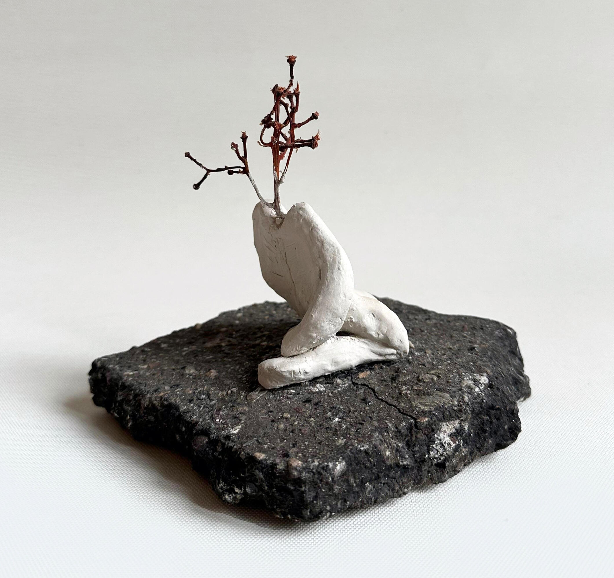 Untitled Untitled